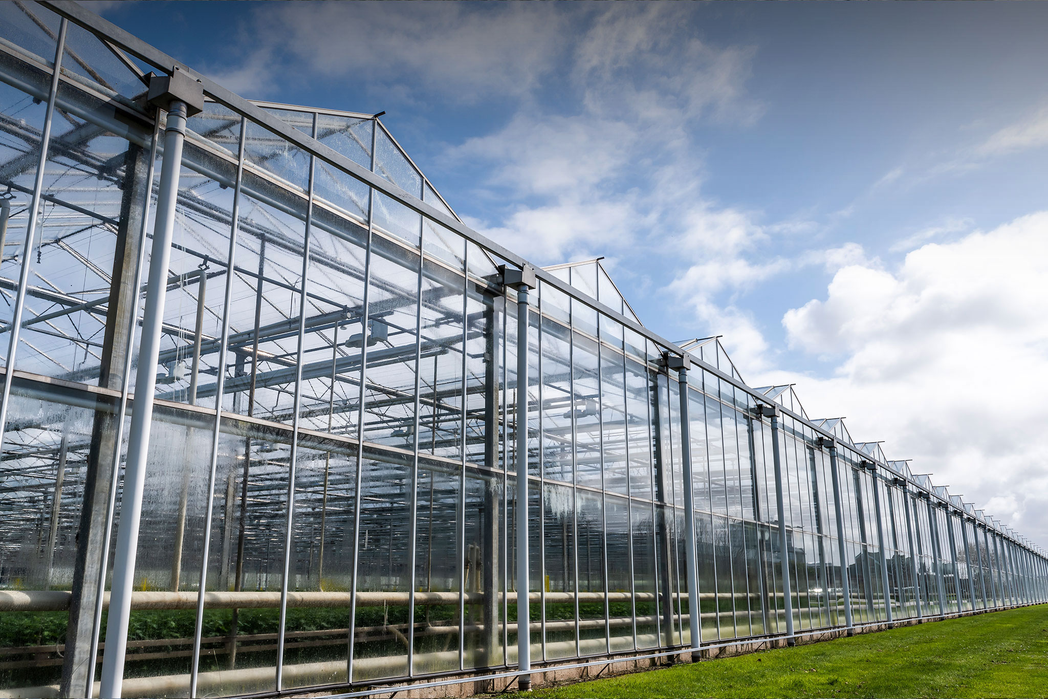 GELECEK İÇİN, İNOVATİF CAM SERALAR