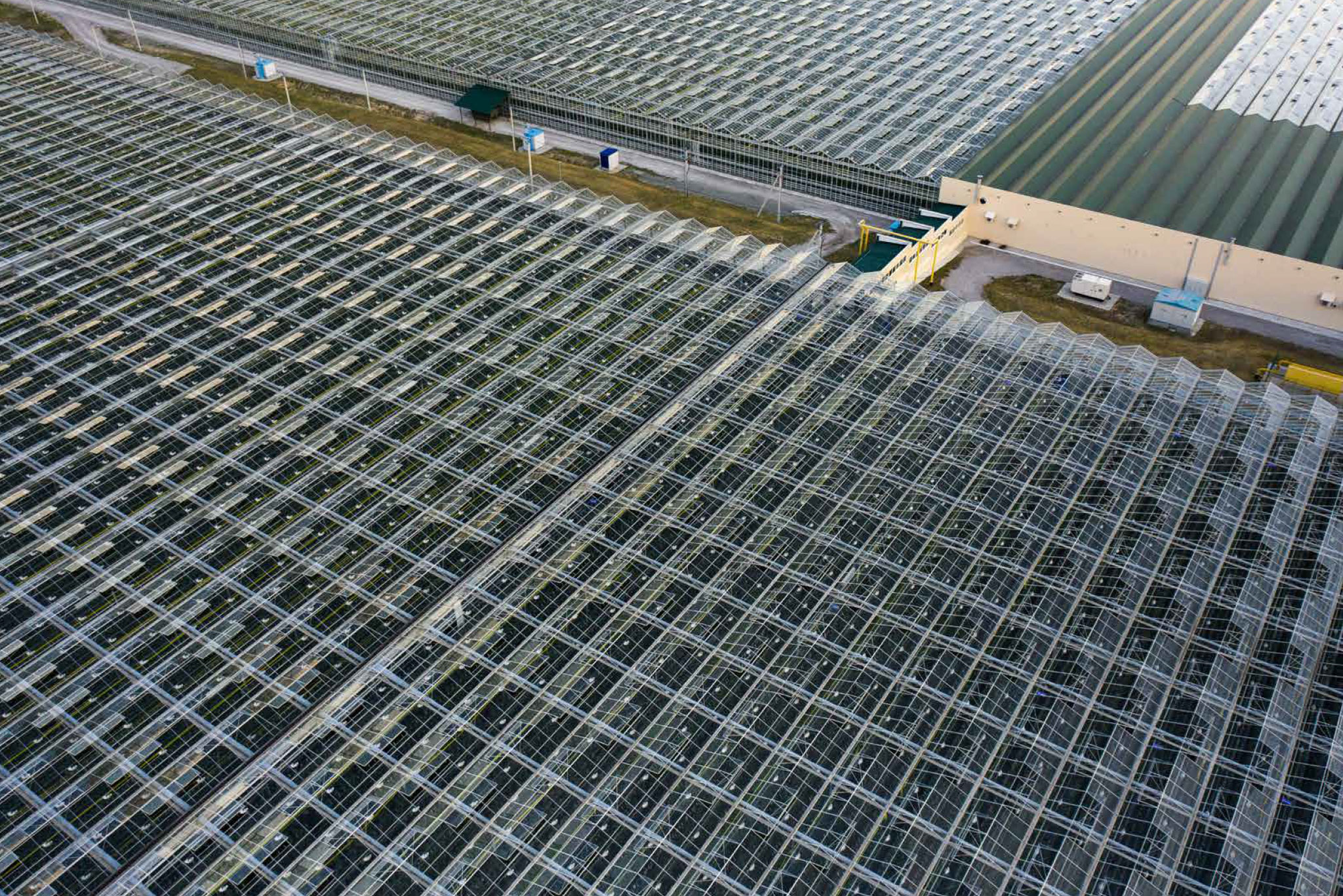 Наши сервисы