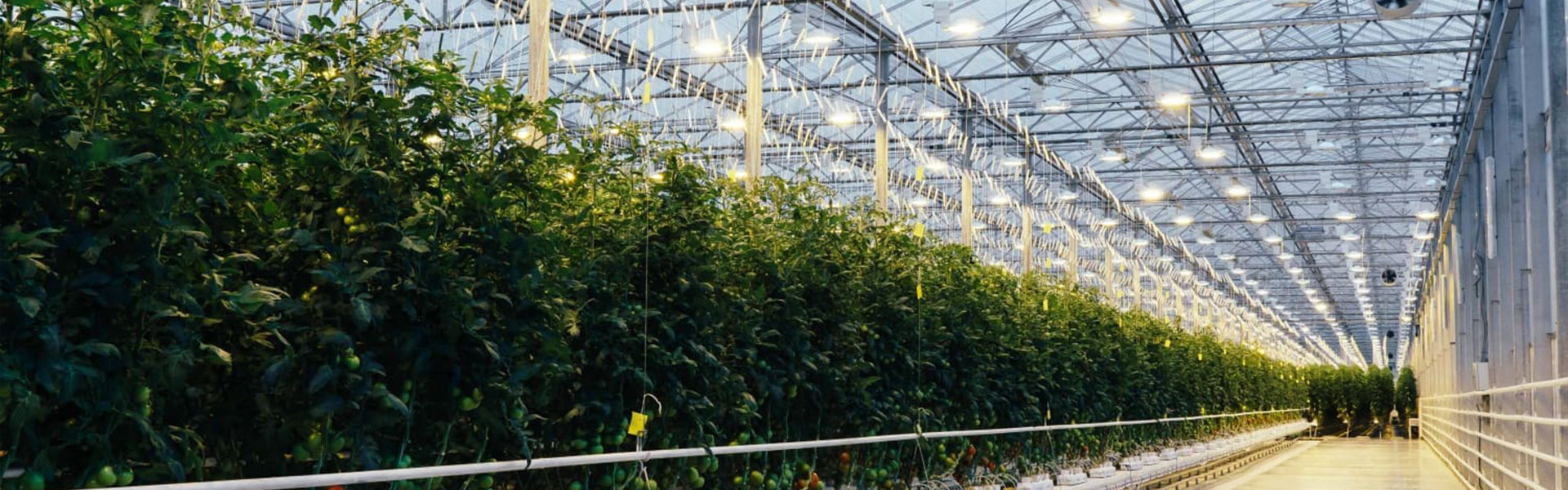 ГИГИЕНИЧНЫЙ ПРОХОД