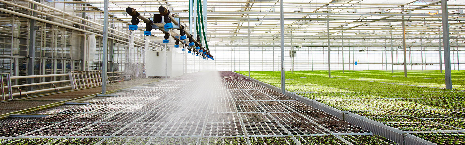 Автоматизация 